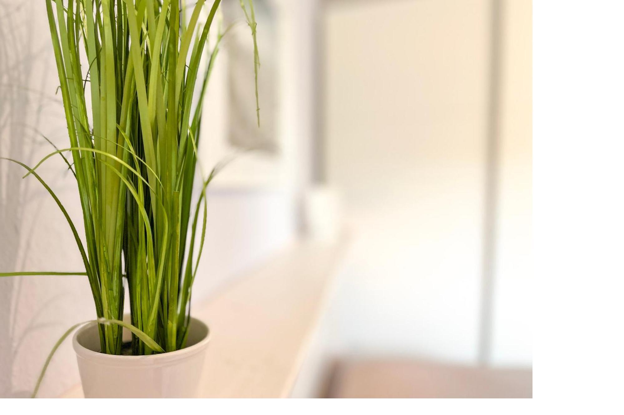 Goosbrink Wohnung 13 ボルテンハーゲン エクステリア 写真